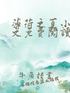 薄荷之夏小说全文免费阅读