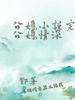 公媳小说完结版公媳情深