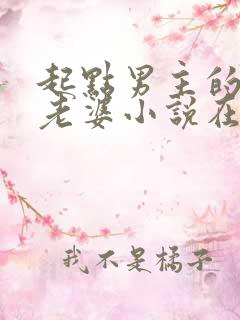 起点男主的笨蛋老婆小说在线阅读