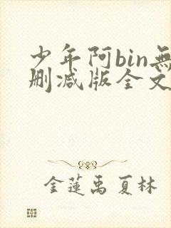 少年阿bin无删减版全文阅读