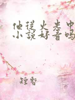 他从火光中走来小说好看吗