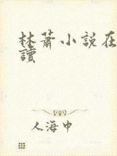 林萧小说在线阅读