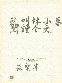 我叫林小喜在线阅读全文