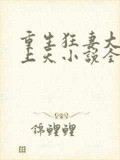 重生狂妻大佬宠上天小说全文阅读