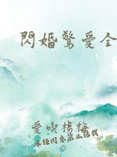 闪婚惊爱全文