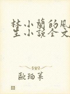 林小兰的风流人生小说全文免费阅读