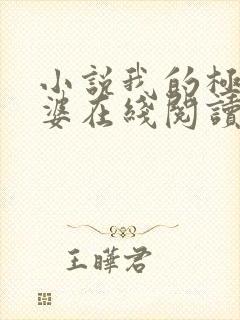 小说我的极品老婆在线阅读全文