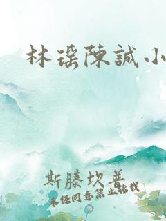 林瑶陈诚小说