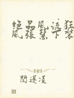 绝品风流狂医林风张慧下装电子书