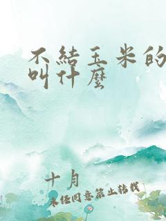 不结玉米的玉米叫什么