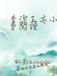 李洁王亮小说免费阅读