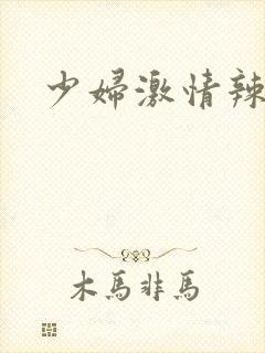 少妇激情辣文