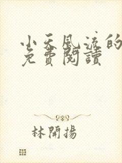 小天风流的小说免费阅读