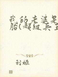 我的老婆是双胞胎(超级兵王在都市)