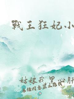 战王狂妃小说