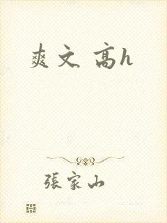 爽文 高h