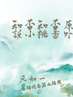 知否知否原著小说小桃番外