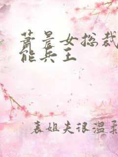 萧晨女总裁的全能兵王