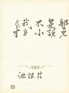 《我不是那种人才》小说免费阅读