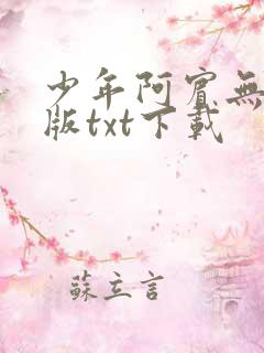 少年阿宾无删减版txt下载