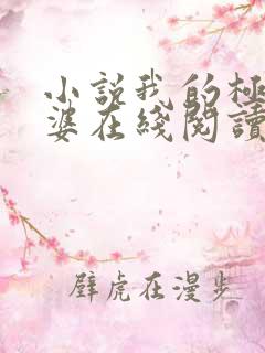 小说我的极品老婆在线阅读