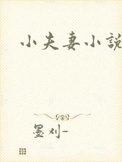 小夫妻小说淫淫