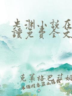 光渊小说在线阅读免费全文