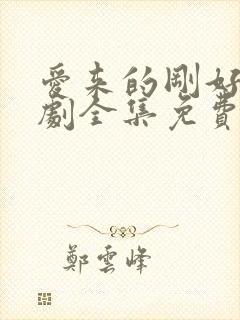 爱来的刚好电视剧全集免费完整版