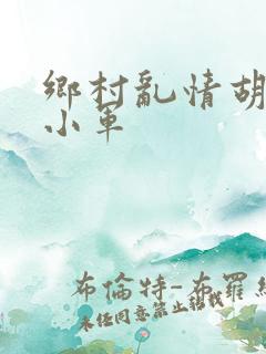 乡村乱情胡秀英小军