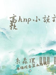高hnp小说调教