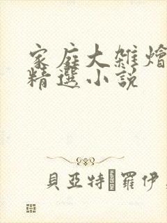 家庭大杂烩说说精选小说