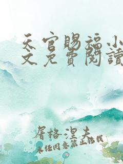 天官赐福小说全文免费阅读无删减版