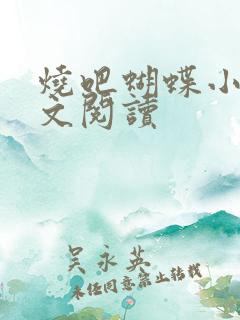 烧吧蝴蝶小说全文阅读
