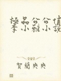 极品公公俏儿媳李小雅小说免费阅读全文