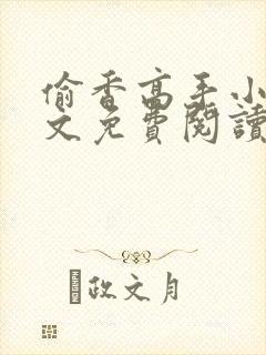 偷香高手小说全文免费阅读