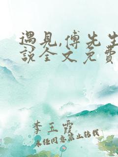 遇见,傅先生小说全文免费阅读
