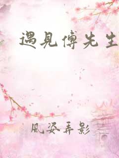 遇见傅先生完本