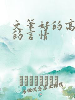 文笔好的高质量的言情