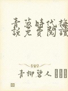青葱时代梅姨小说免费阅读无弹窗
