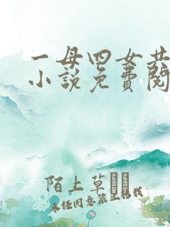 一母四女共一婿小说免费阅读