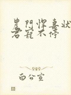 农门悍妻状元夫君宠不停