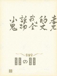 小说我的老公是鬼物全文免费阅读