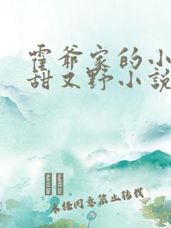 霍爷家的小祖宗甜又野小说