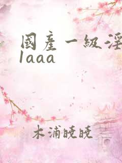 国产一级淫片91aaa