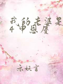 我的老婆是大佬4 申恩庆