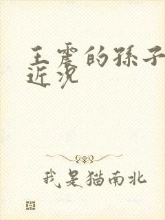 王震的孙子孙女近况