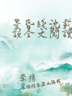 晨昏线沈载伦小说全文阅读无弹窗