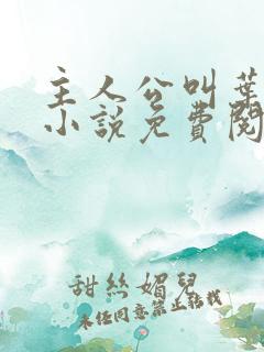 主人公叫叶凡的小说免费阅读全文