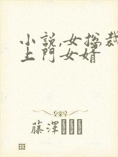 小说,女总裁的上门女婿