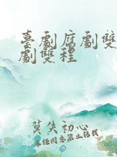 台剧腐剧双男主剧双程